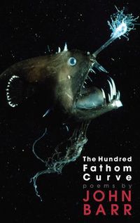 Produktbild: The Hundred Fathom Curve