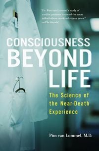 Produktbild: Consciousness Beyond Life