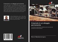 Produktbild: Cresciuto in un alloggio permanente