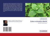 Produktbild: Coleus aromaticus Benth