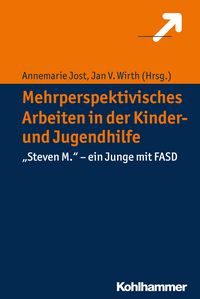 Produktbild: Mehrperspektivisches Arbeiten in der Kinder- und Jugendhilfe
