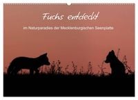 Produktbild: Fuchs entdeckt - im Naturparadies der Mecklenburgischen Seenplatte (Wandkalender 2027 DIN A2 quer), CALVENDO Monatskalender