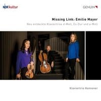 Produktbild: Missing Link-Neu entdeckte Klaviertrios