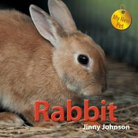 Produktbild: Rabbit