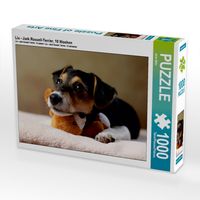 Produktbild: CALVENDO Puzzle Liu - Jack Russell-Terrier, 10 Wochen 1000 Teile Puzzle quer | 1000 Teile Lege-Gr&ouml;&szlig;e 64 &times; 48 cm Foto-Puzzle f&uuml;r gl&uuml;ckliche Stunden