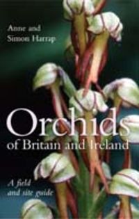 Produktbild: Orchids of Britain and Ireland