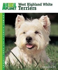Produktbild: West Highland White Terriers