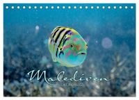 Produktbild: Unterwasserwelt der Malediven II (Tischkalender 2027 DIN A5 quer), CALVENDO Monatskalender