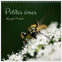 Produktbild: Petites &acirc;mes (Calendrier mural carr&eacute; 2026 30x30 cm) Calendrier double avec une page pour vos prises de notes