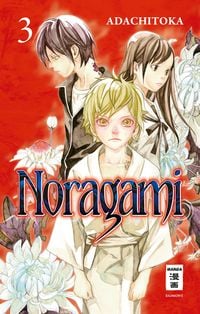 Produktbild: Noragami 03
