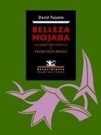 Produktbild: Belleza mojada : la escritura po&eacute;tica de Francisco Brines