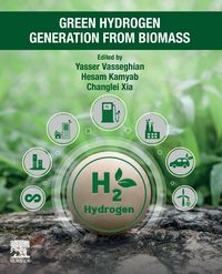 Produktbild: Green Hydrogen Generation from Biomass