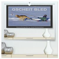 Produktbild: GSCHEIT BLED - Humorfotografie (hochwertiger Premium Wandkalender 2026 DIN A2 quer), Kunstdruck in Hochglanz