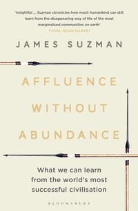 Produktbild: Affluence Without Abundance