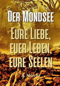 Bild vom Artikel Der Mondsee vom Autor Abraham Merritt