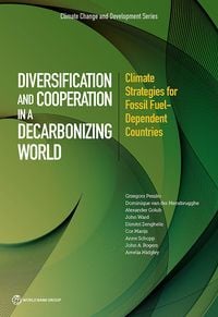 Produktbild: Diversification and Cooperation in a Decarbonizing World