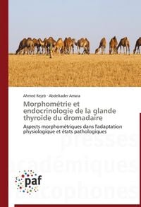 Produktbild: Rejeb, A: Morphom&eacute;trie et endocrinologie de la glande thyro&iuml;