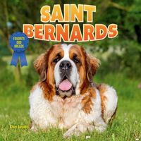 Produktbild: Saint Bernards