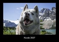 Produktbild: Hunde 2027 Fotokalender DIN A3