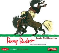 Bild vom Artikel Pony Pedro vom Autor Erwin Strittmatter