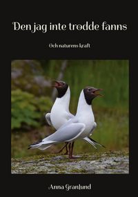 Produktbild: Den jag inte trodde fanns