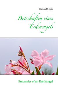 Produktbild: Botschaften eines Erdenengels