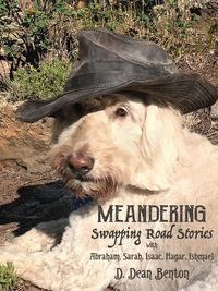 Produktbild: Meanderings -- Swapping Road Stories With Abraham, Sarah, Isaac, Hagar, Ishmael