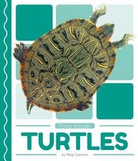 Produktbild: Turtles