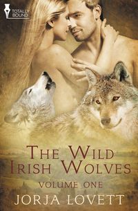 Produktbild: The Wild Irish Wolves Vol 1