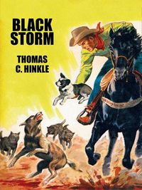 Produktbild: Black Storm