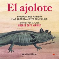 Produktbild: El ajolote