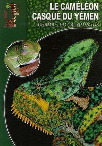 Produktbild: Cameleon casque du yemen chamaeleo