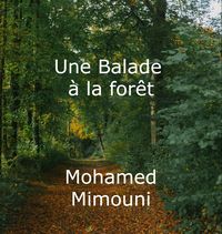 Produktbild: Une Balade &agrave; la for&ecirc;t