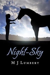 Produktbild: Night-Sky