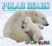 Bild vom Artikel Polar Bears vom Autor Jill Anderson