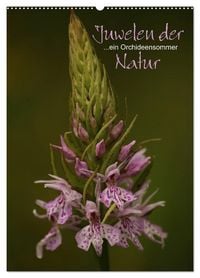 Produktbild: Juwelen der Natur - Ein Orchideensommer (Wandkalender 2026 DIN A2 hoch), CALVENDO Monatskalender