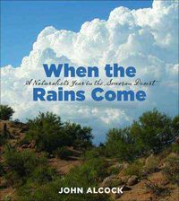 Produktbild: When The Rains Come