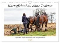 Produktbild: Kartoffelanbau ohne Traktor (Wandkalender 2026 DIN A4 quer), CALVENDO Monatskalender