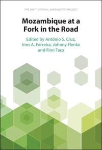 Produktbild: Mozambique at a Fork in the Road