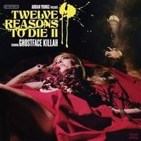Produktbild: 12 Reasons to die II
