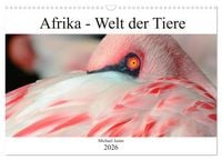Produktbild: Afrika - Welt der Tiere (Wandkalender 2026 DIN A3 quer), CALVENDO Monatskalender