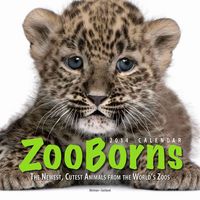 Produktbild: Zooborns Calendar: The Newest, Cutest Animals from the World's Zoos