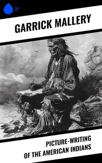 Produktbild: Picture-Writing of the American Indians