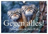 Produktbild: Gegen alles! - Pallaskatzen in ihrer Welt (Wandkalender 2027 DIN A4 quer), CALVENDO Monatskalender