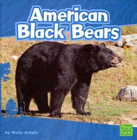 Produktbild: Amer Black Bears