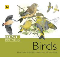 Produktbild: Best of Britain's Birds