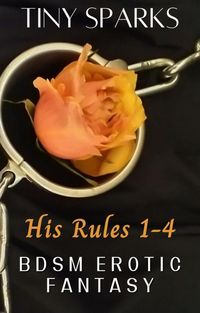 Produktbild: His Rules 1-4 (BDSM Erotic Fantasy)