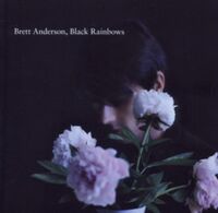 Produktbild: Anderson, B: Black Rainbows