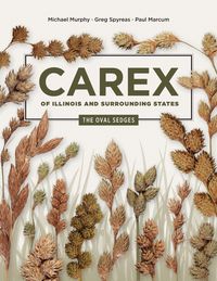 Produktbild: Carex of Illinois and Surrounding States
