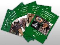 Produktbild: Durham, A: Concise Textbook of Equine Clinical Practice